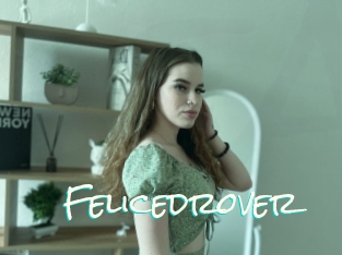 Felicedrover