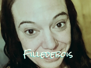 Filledebois