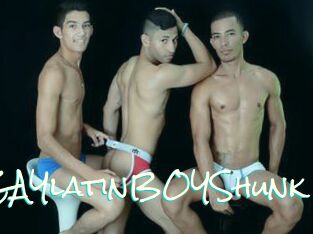GAYlatinBOYShunk