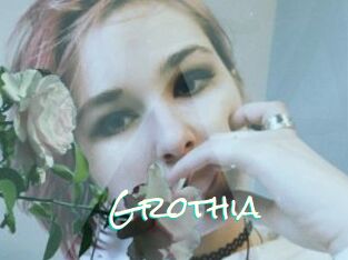 Grothia