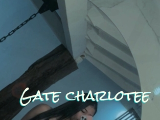 Gate_charlotee
