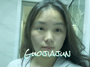 Guojiajun