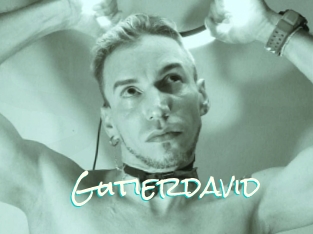 Gutierdavid