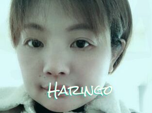 Haringo