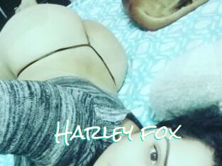 Harley_fox