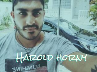 Harold_horny
