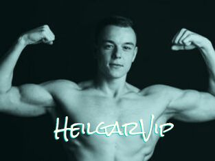 HeilgarVip