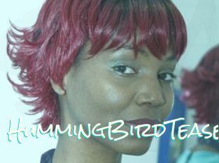 HummingBirdTease