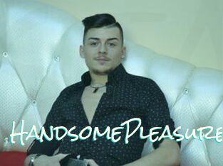 HandsomePleasure