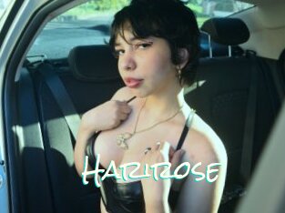Harirose