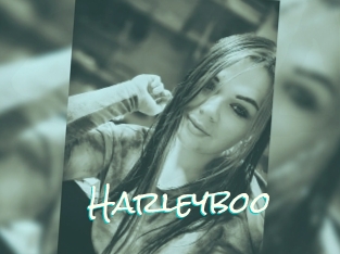 Harleyboo