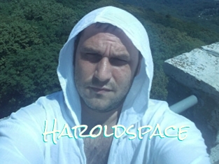 Haroldspace