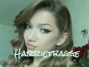 Harrietbagge