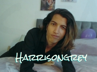 Harrisongrey