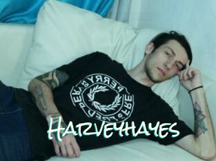Harveyhayes