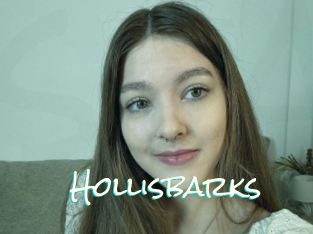 Hollisbarks
