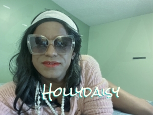 Hollydaisy