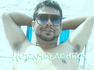 Hornybeachboy