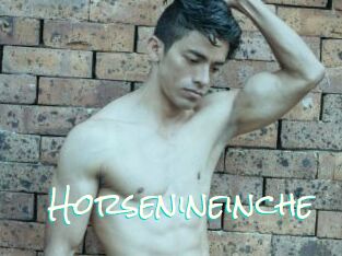 Horsenineinche