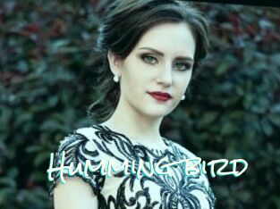 Humming_bird