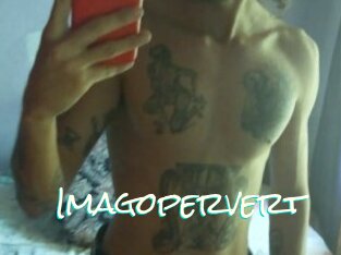 Imagopervert