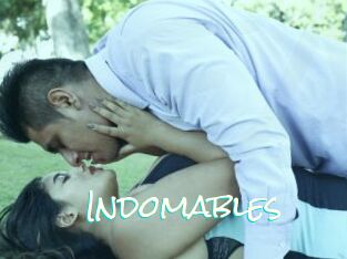 Indomables