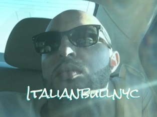 Italianbullnyc
