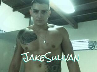 Jake_Sulivan