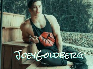 JoeyGoldberg