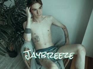 Jaybreeze