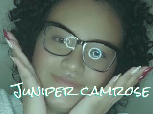 Juniper_camrose