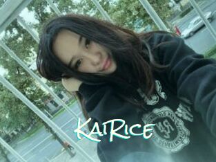 KaiRice