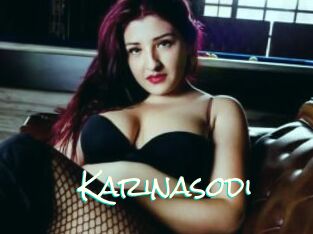 Karinasodi