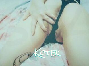 Kotek