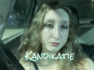 Kandikatie