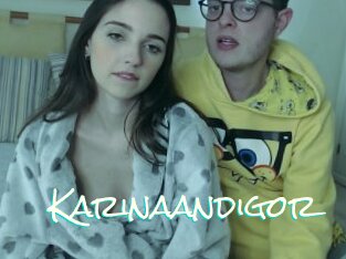 Karinaandigor