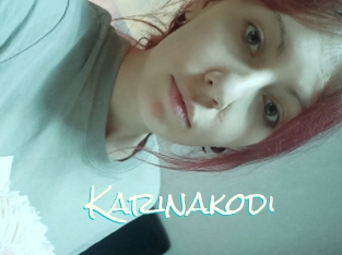 Karinakodi