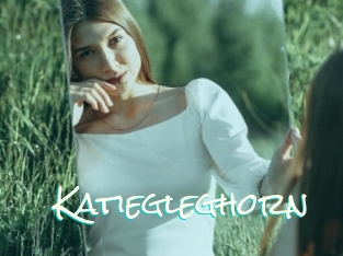 Katiegleghorn