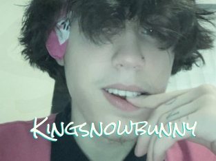 Kingsnowbunny