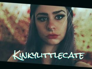 Kinkylittlecate