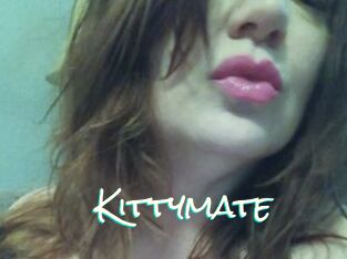 Kittymate