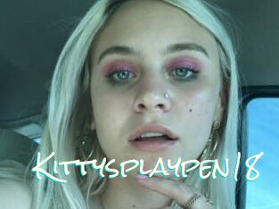 Kittysplaypen18
