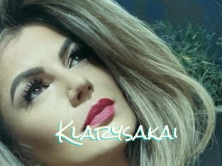 Klarysakai