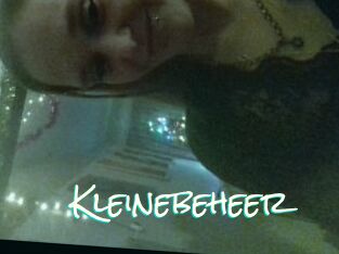Kleinebeheer