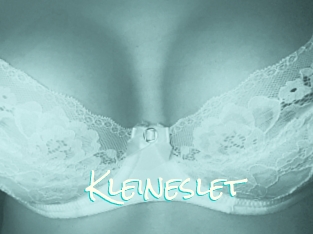 Kleineslet