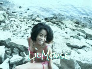 LilMouse