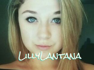 LillyLantana