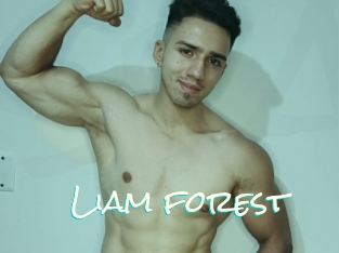 Liam_forest