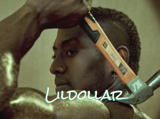 Lildollar