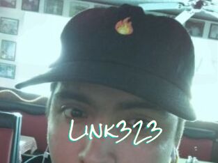 Link323